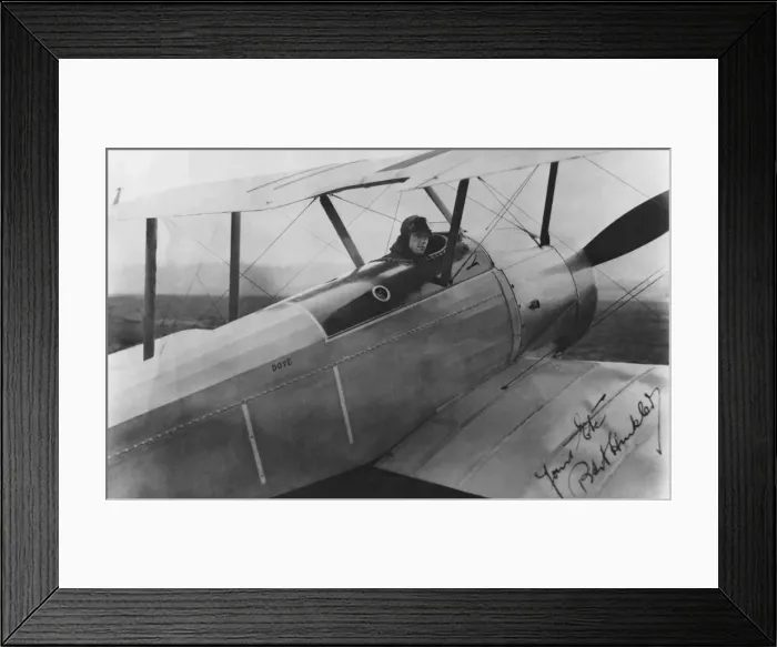 Framed Print : Sopwith Dove Framed Print : Sopwith Dove