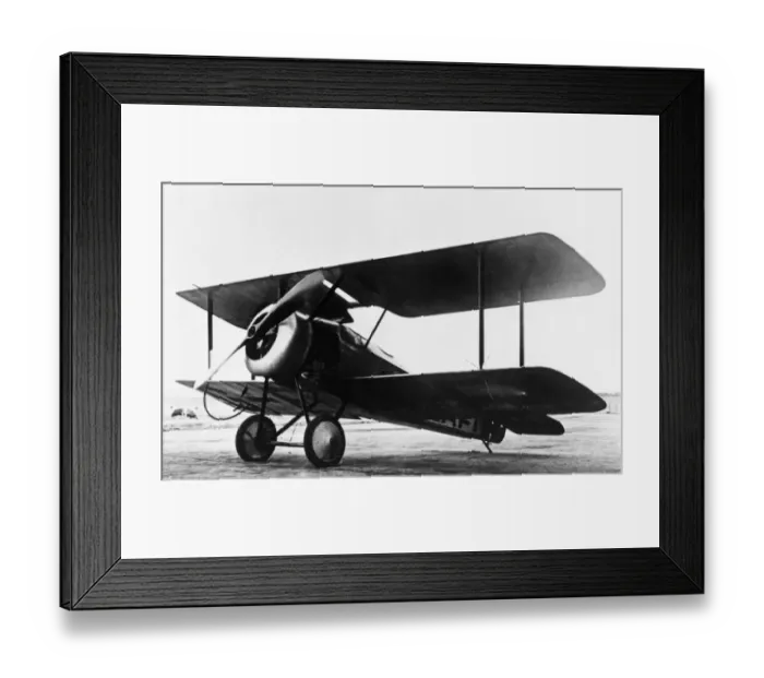Framed Print : Sopwith Dove Framed Print : Sopwith Dove