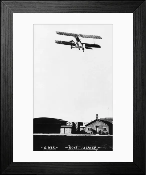 Framed Print : Sopwith Dove Framed Print : Sopwith Dove