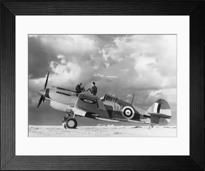 Framed Print : Curtiss P-40 Warhawk Framed Print : Curtiss P-40 Warhawk