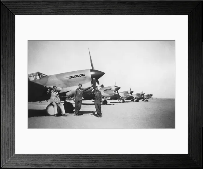 Framed Print : Curtiss P-40 Warhawk Framed Print : Curtiss P-40 Warhawk