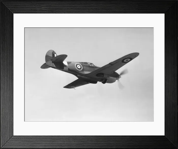 Framed Print : Curtiss P-40 Warhawk Framed Print : Curtiss P-40 Warhawk