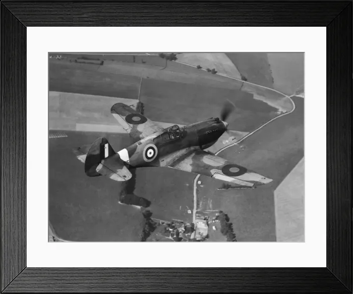 Framed Print : Curtiss P-40 Warhawk Framed Print : Curtiss P-40 Warhawk