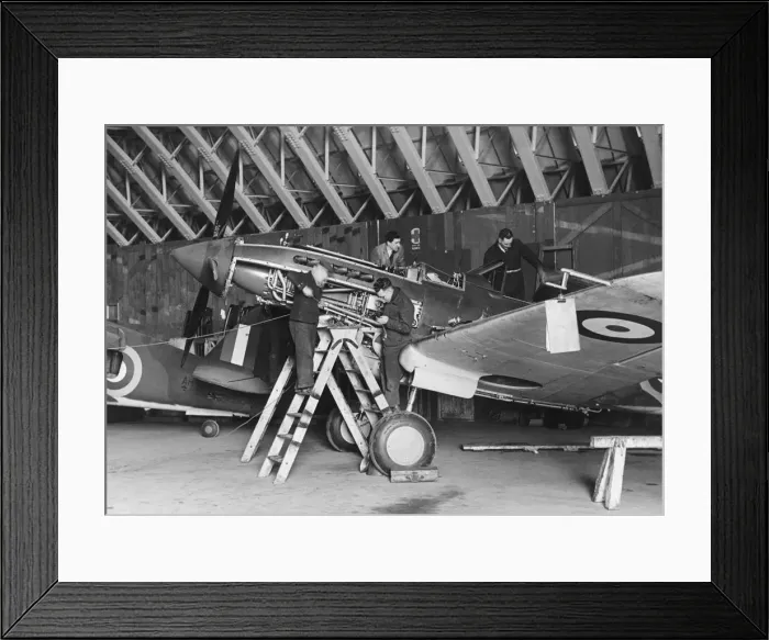 Framed Print : Curtiss P-40 Warhawk Framed Print : Curtiss P-40 Warhawk