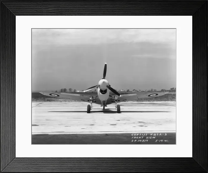 Framed Print : Curtiss P-40 Warhawk Framed Print : Curtiss P-40 Warhawk