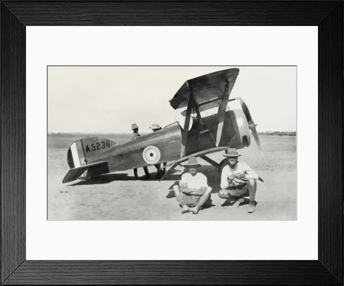 Framed Print : Vickers F. B. 19 Mk 2  /  II