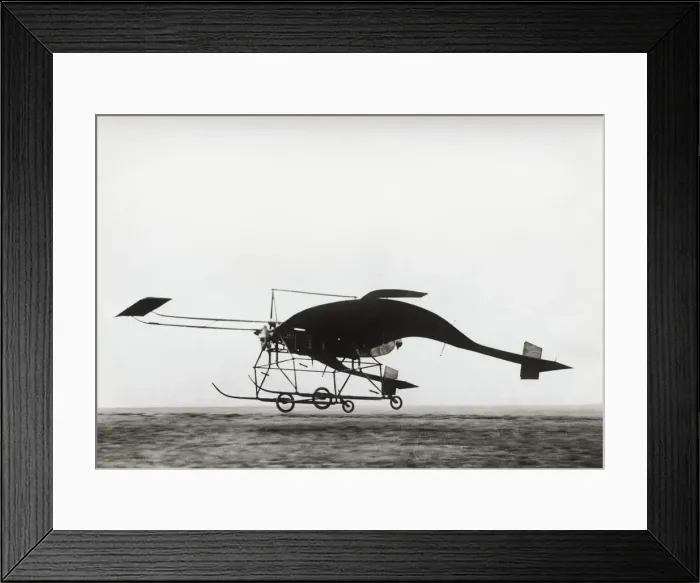 Framed Print : Schreck Diapason 1 Framed Print : Schreck Diapason 1