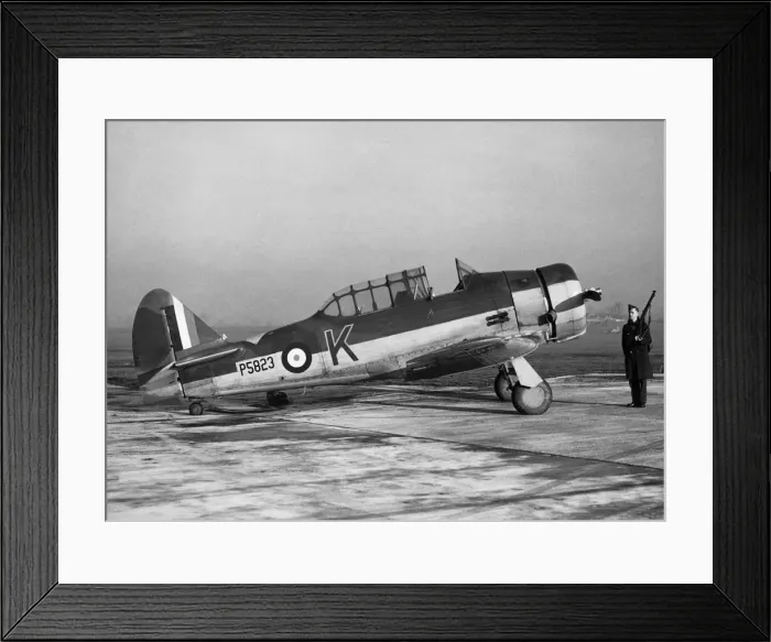 Framed Print : North American T-6 Harvard Framed Print : North American T-6 Harvard