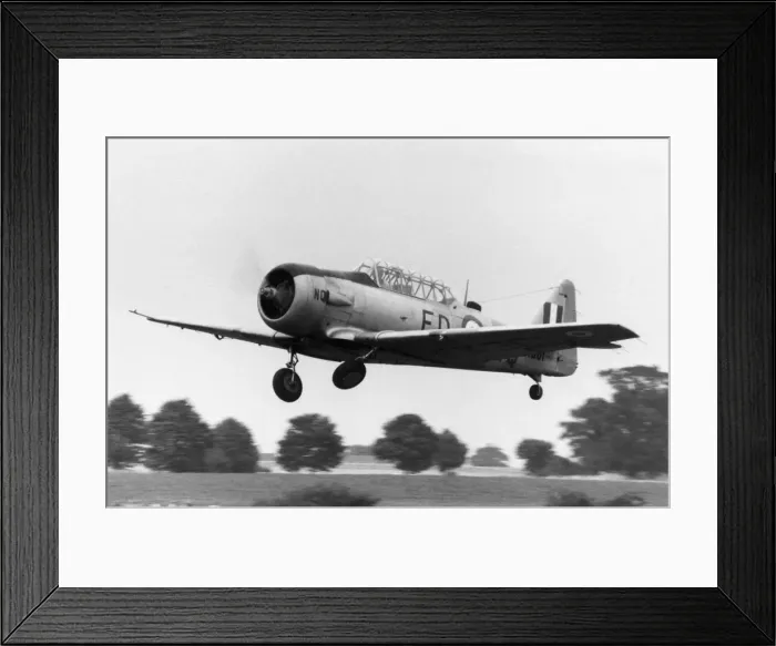 Framed Print : North American T-6 Harvard Framed Print : North American T-6 Harvard