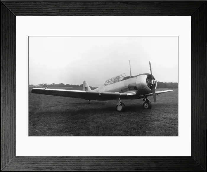 Framed Print : North American T-6 Harvard Framed Print : North American T-6 Harvard