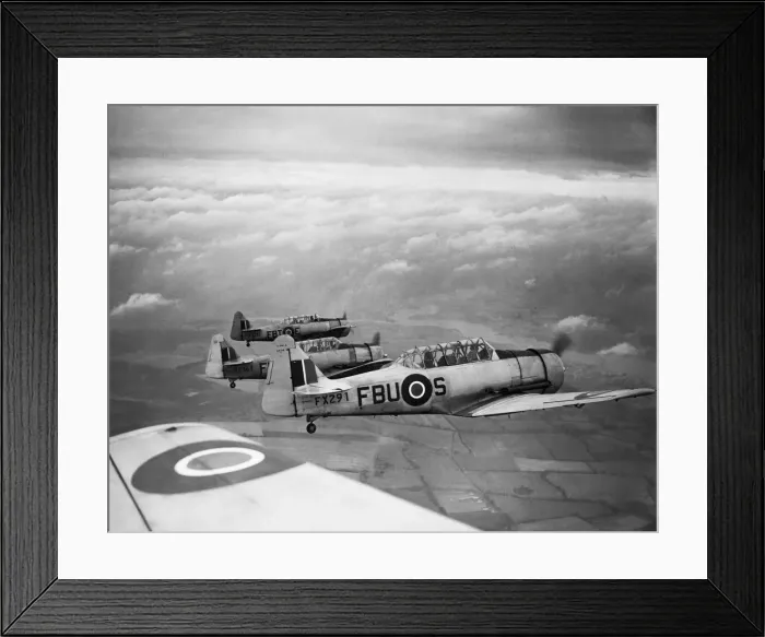 Framed Print : North American T-6 Harvard Framed Print : North American T-6 Harvard