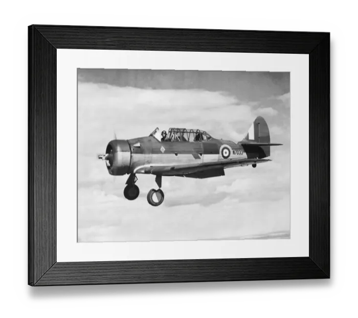 Framed Print : North American T-6 Harvard Framed Print : North American T-6 Harvard
