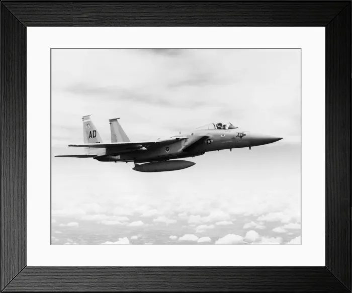Framed Print : Boeing F-15 Eagle Framed Print : Boeing F-15 Eagle