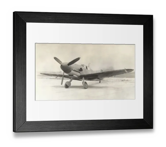 Framed Print : Messerschmitt Bf-109F Framed Print : Messerschmitt Bf-109F