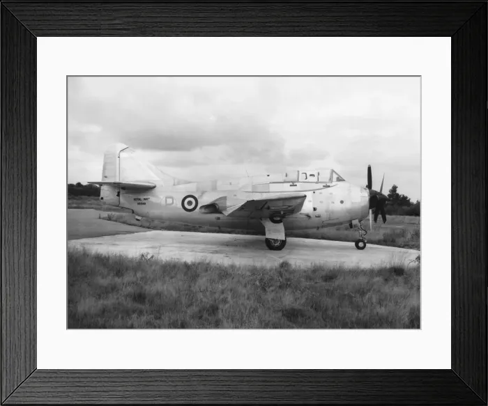 Framed Print : Fairey Gannet Framed Print : Fairey Gannet