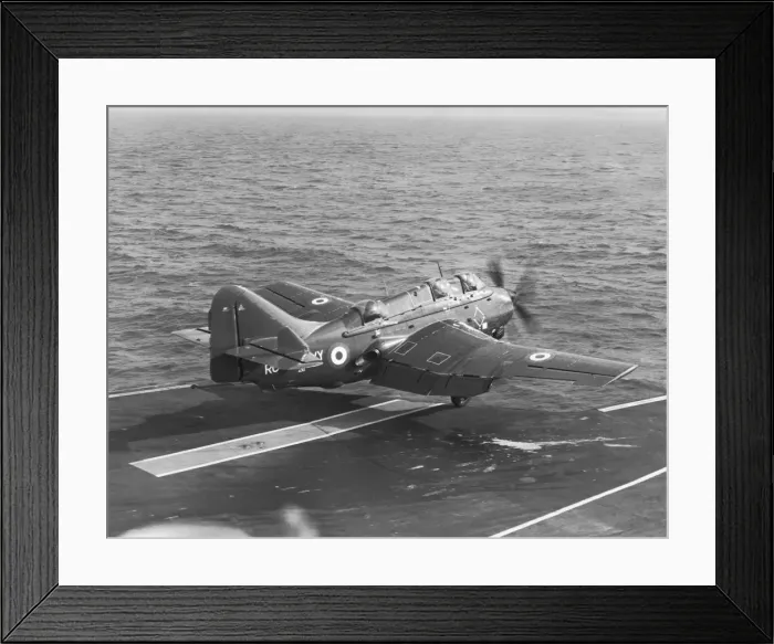 Framed Print : Fairey Gannet Framed Print : Fairey Gannet