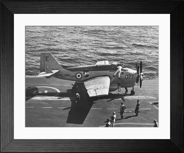 Framed Print : Fairey Gannet Framed Print : Fairey Gannet