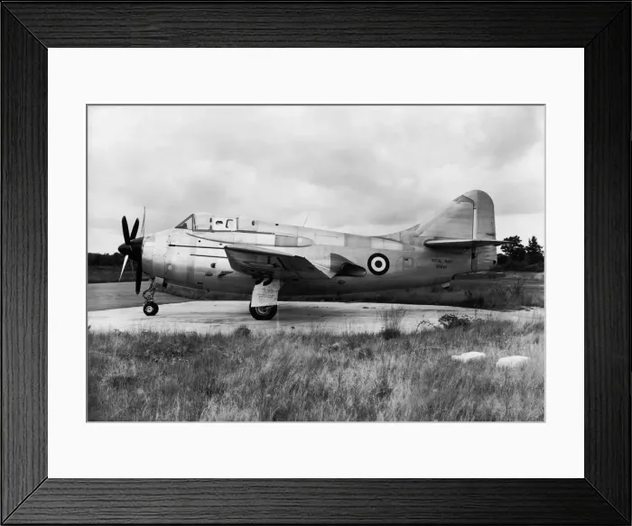 Framed Print : Fairey Gannet Framed Print : Fairey Gannet