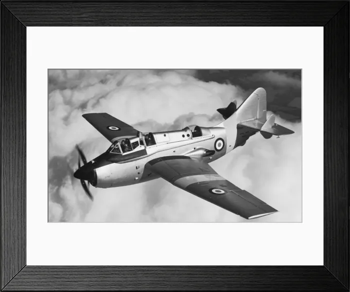 Framed Print : Fairey Gannet Framed Print : Fairey Gannet
