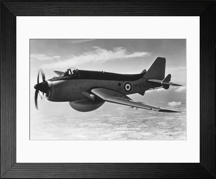 Framed Print : Fairey Gannet Framed Print : Fairey Gannet