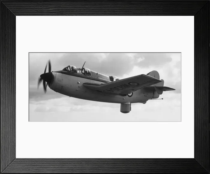Framed Print : Fairey Gannet Framed Print : Fairey Gannet
