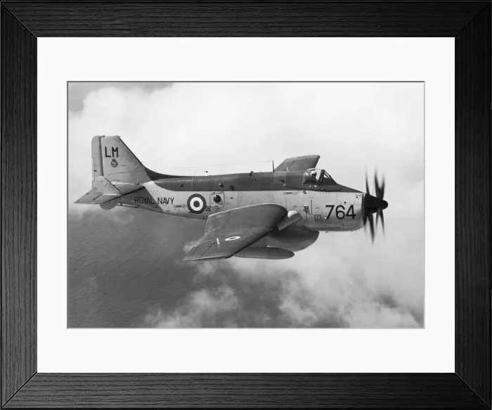 Framed Print : Fairey Gannet Framed Print : Fairey Gannet