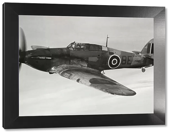 Hawker Sea Hurricane