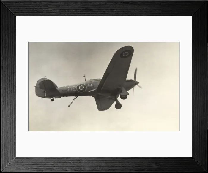 Framed Print : Hawker Sea Hurricane 1B Framed Print : Hawker Sea Hurricane 1B