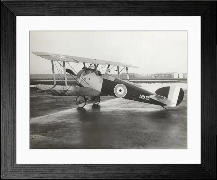Framed Print : Sopwith Camel F-1 Framed Print : Sopwith Camel F-1