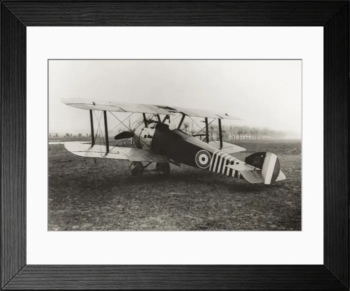 Framed Print : Sopwith Camel F-1 Framed Print : Sopwith Camel F-1