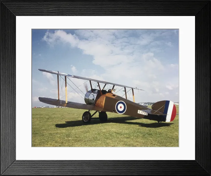 Framed Print : Sopwith Camel F-1 Framed Print : Sopwith Camel F-1