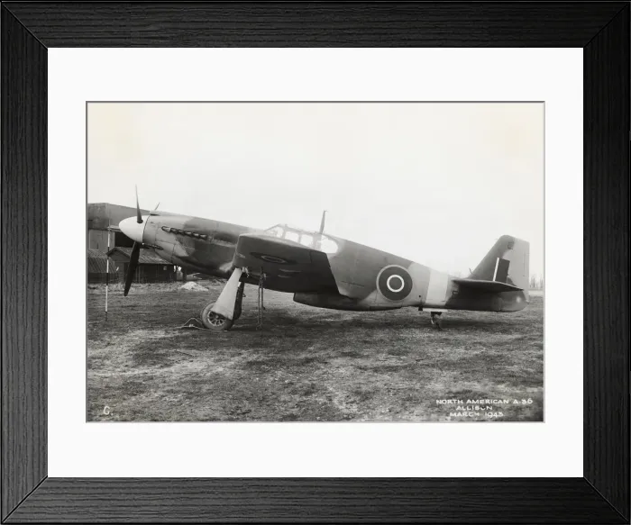 Framed Print : An A-36A (NA-97) Mustang trialled by the RAF Framed Print : An A-36A (NA-97) Mustang trialled by the RAF