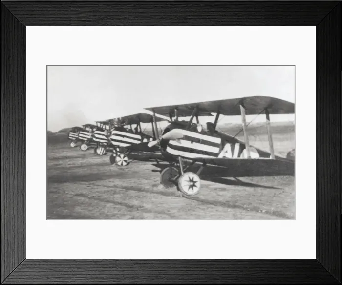 Framed Print : Sopwith Camel F-1