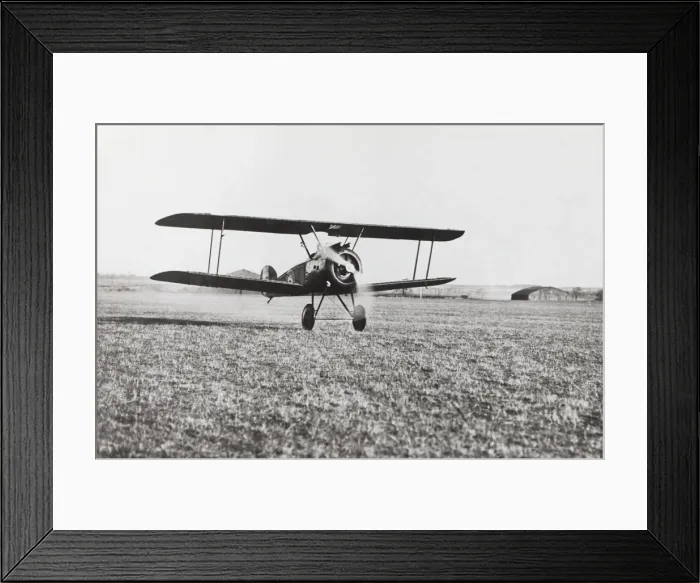 Framed Print : Sopwith Camel F-1 Framed Print : Sopwith Camel F-1