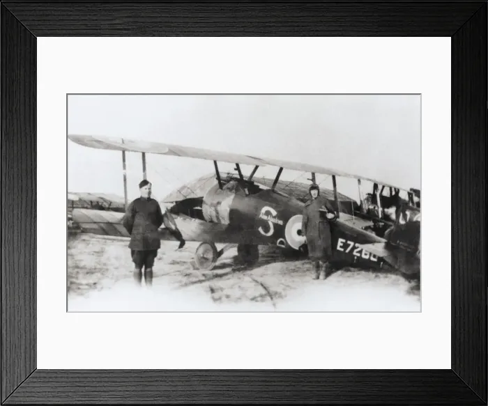 Framed Print : Sopwith Camel F-1 Framed Print : Sopwith Camel F-1