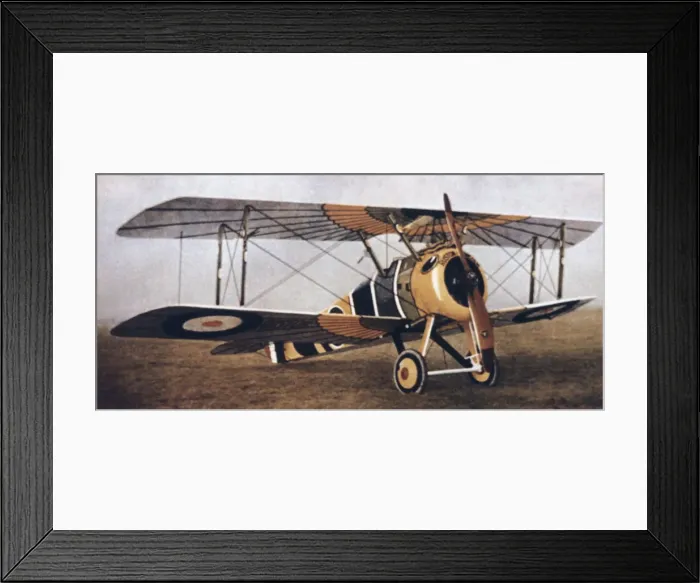 Framed Print : Sopwith Camel F-1 Framed Print : Sopwith Camel F-1