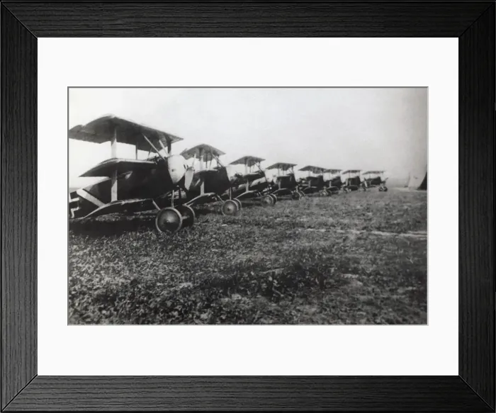 Framed Print : Fokker DR-1 Triplane Framed Print : Fokker DR-1 Triplane