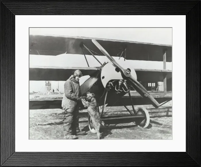 Framed Print : Fokker DR-1 Triplane Framed Print : Fokker DR-1 Triplane