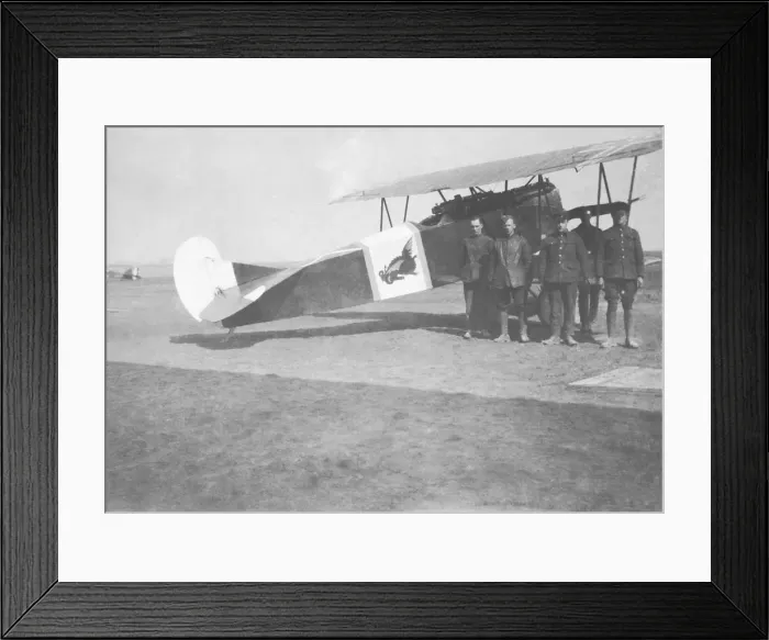 Framed Print : Fokker D-VII / 7 Framed Print : Fokker D-VII / 7