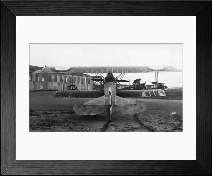 Framed Print : Fokker D-VII / 7 Framed Print : Fokker D-VII / 7