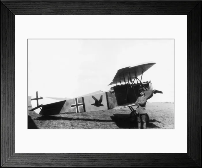Framed Print : Fokker D-VII / 7 Framed Print : Fokker D-VII / 7