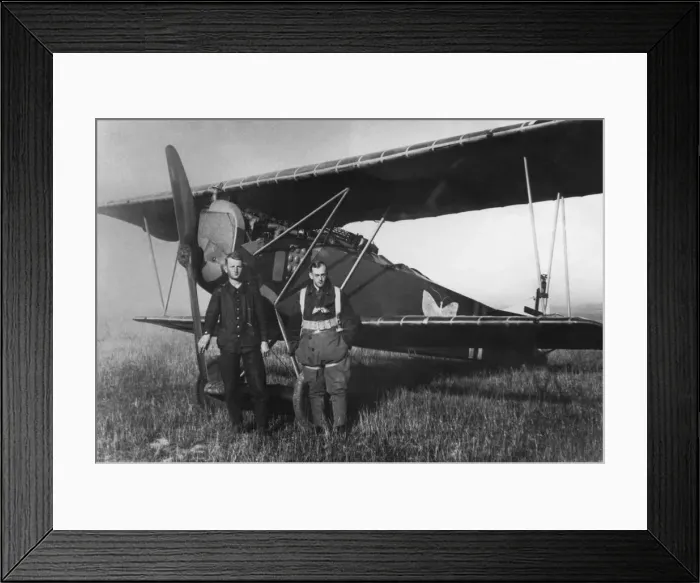 Framed Print : Fokker D-VII / 7 Framed Print : Fokker D-VII / 7
