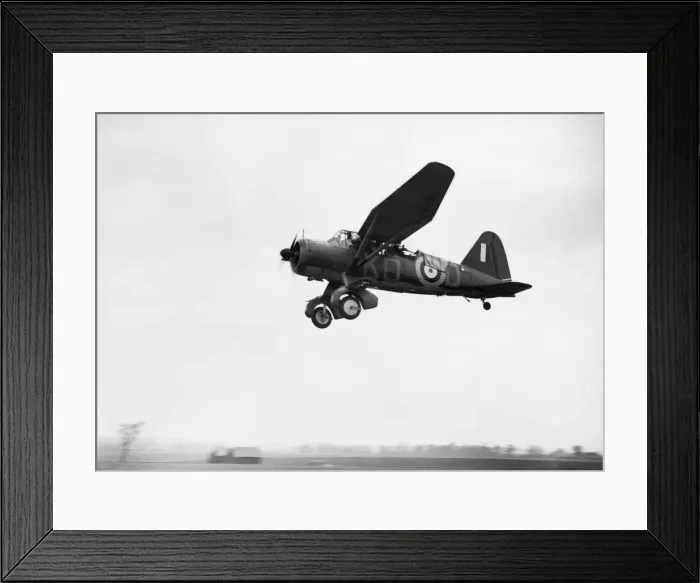 Framed Print : Uk Royal Airforce 2 Squadron Westland Lysander Aircraft ? Framed Print : Uk Royal Airforce 2 Squadron Westland Lysander Aircraft ?
