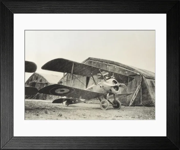 Framed Print : Sopwith Camel Framed Print : Sopwith Camel