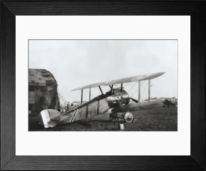 Framed Print : Sopwith Camel F-1 Framed Print : Sopwith Camel F-1