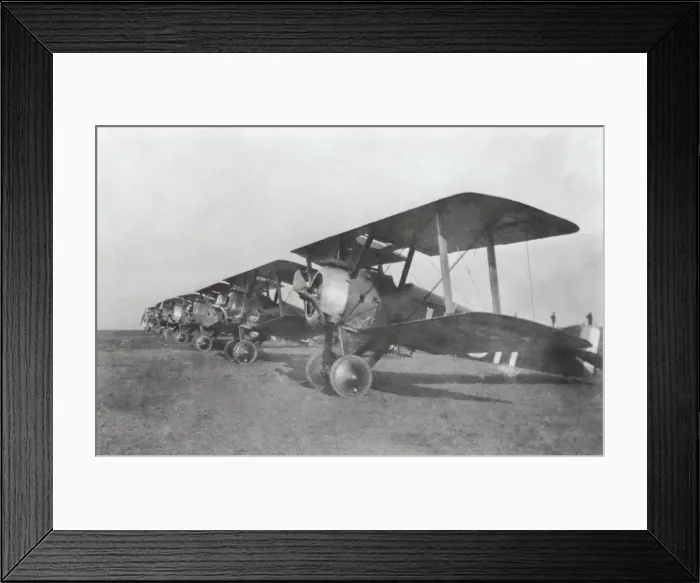 Framed Print : Sopwith Camel F-1 Framed Print : Sopwith Camel F-1