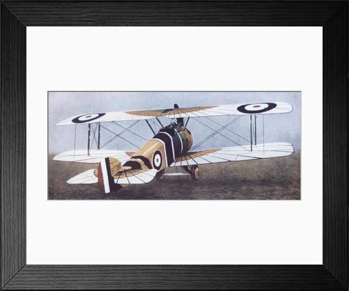 Framed Print : Sopwith Camel F-1 Framed Print : Sopwith Camel F-1