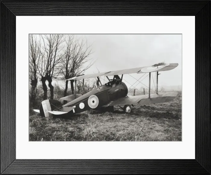 Framed Print : Sopwith Camel F-1 Framed Print : Sopwith Camel F-1