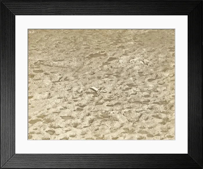 Framed Print : Sopwith Camel F-1