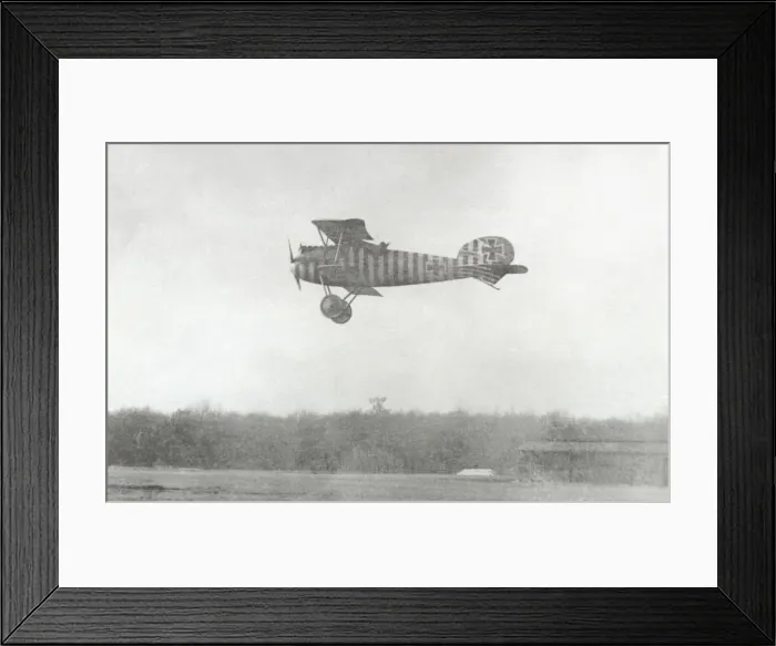 Framed Print : Albatros D. V Framed Print : Albatros D. V